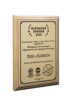 «КАМАЗ» награждён дипломом победителя народной премии «Эфир – Наши Челны»